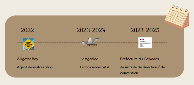 Parcours profesionnel